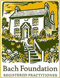 Bach_Fundation_small